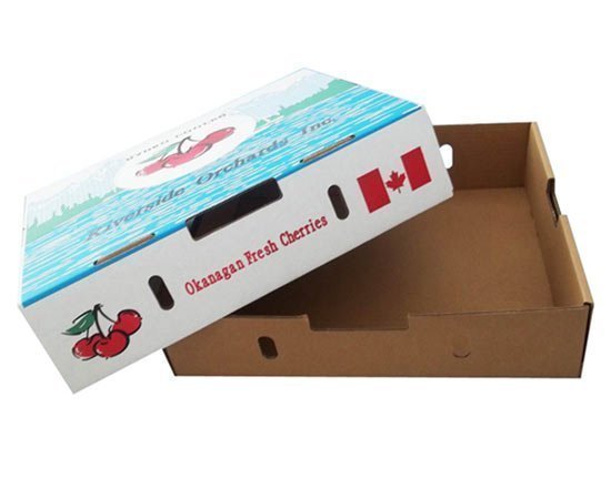 Fresh Cherry Fruit Packaging Corrugated Box