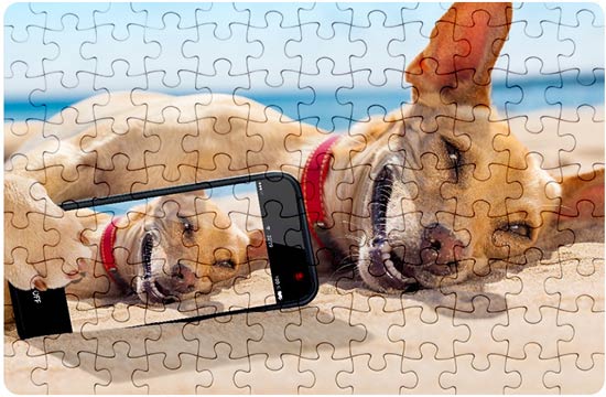 Happy Dog Cardboard Puzzles 1000 piece