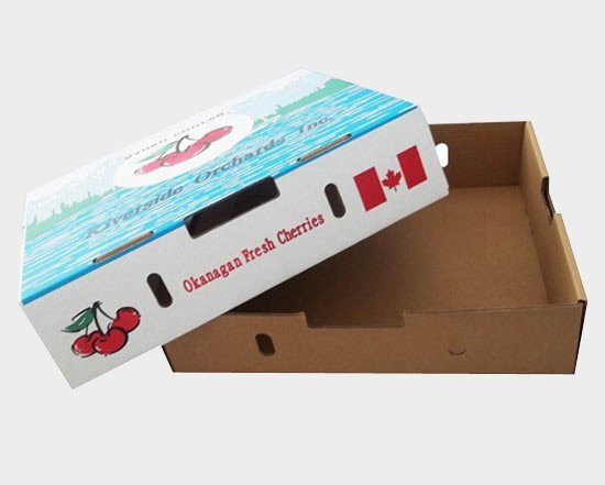 Fresh Cherry Fruit Packaging Boxes