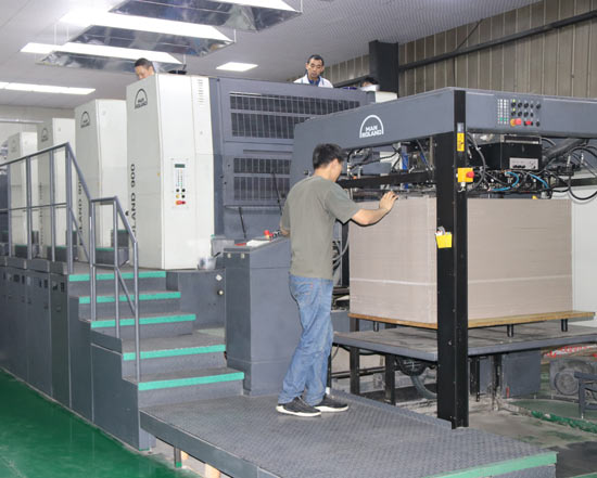 ManRoland Offset Printing Machine